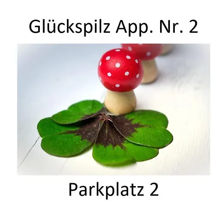 Haus Zum Glueck Apartament *